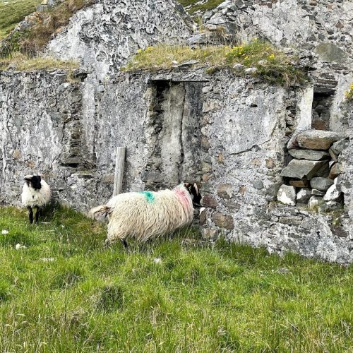 Clare Island Famine House